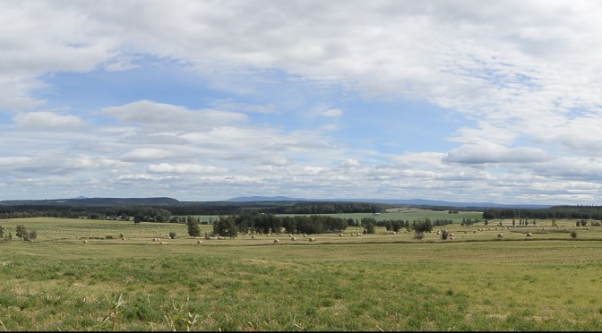 Vanderhoof Dave’s RV-Park