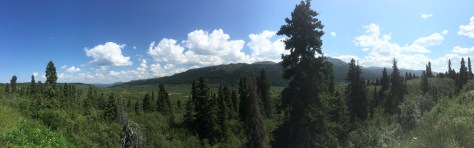 IMG_2495