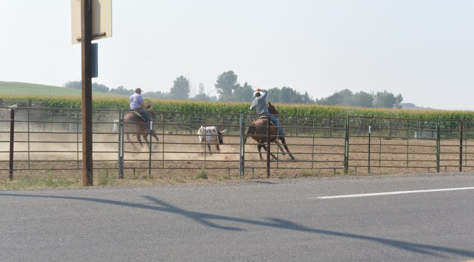 Buhl Banbury Hot Spring