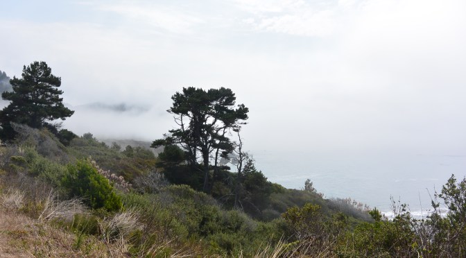 Fort Bragg Pomo RV Park and Campground