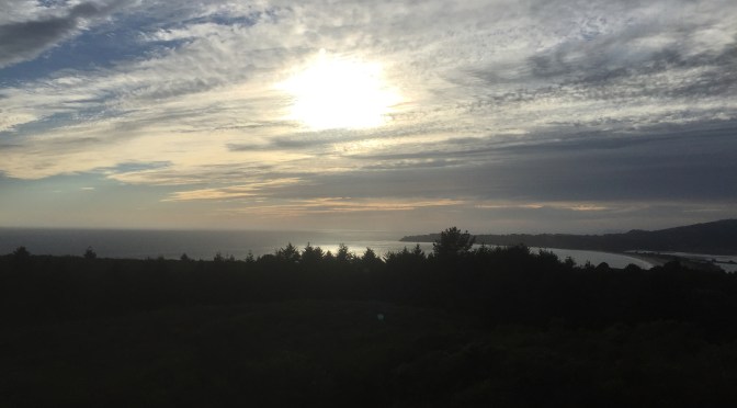 Mill Valley Pantoll Campground